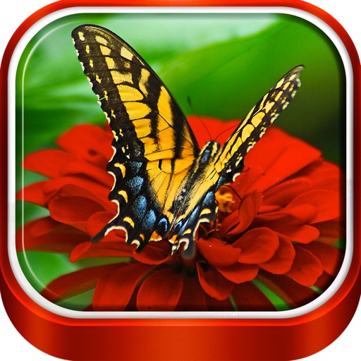 Butterfly Wallpaper HD – Vibrant Lock Screen + Beautiful Abstract   by Ivan Milicevic