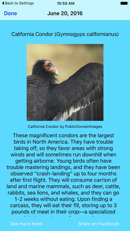 Daily Bird Facts