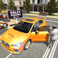 Activities of Crazy Valet: Parking Simulator