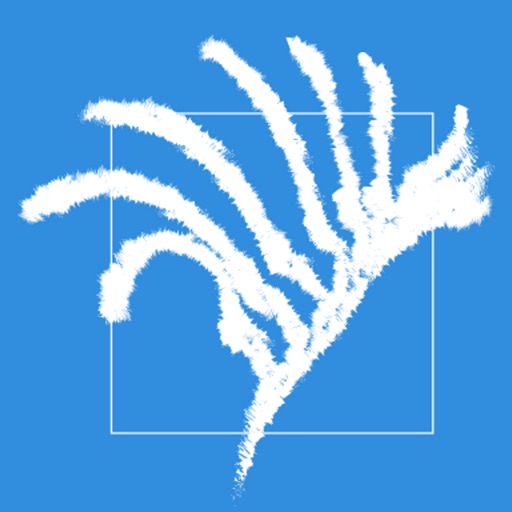 What grows here by g3 international pty ltd