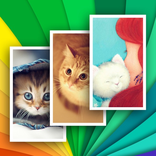 Amazing Cats Wallpapers : Free Wallpapers For iPhone & iPod icon