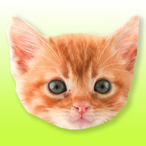 Cat Spammer iOS App