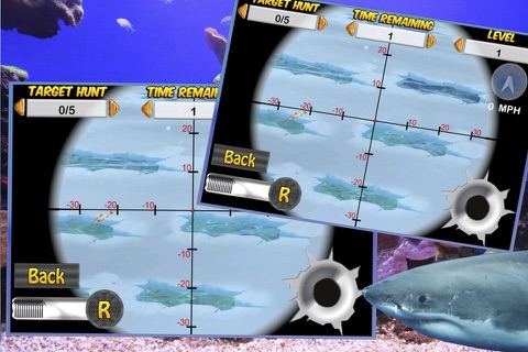 Deadly Shark Hunting - Under Water Spear Fishing screenshot 2
