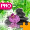 Beautiful Jigsaw Pro - Quest Of Puzzles 4 Kids