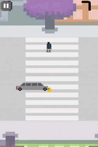 Super Crosswalk screenshot 3