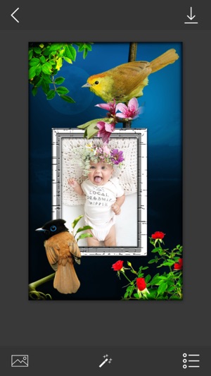 Bird Photo Frames - Make awesome photo using beautiful photo(圖1)-速報App