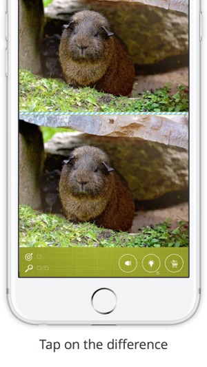 Find the Difference in Guinea Pig(圖2)-速報App