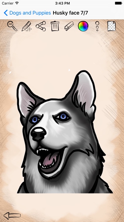 Drawing Cute Dogs And Puppies screenshot-4