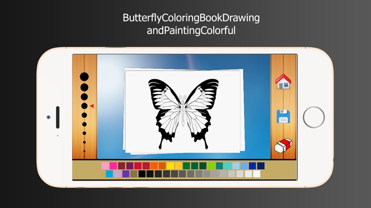 Butterfly Coloring Book Drawing and Painting Colorful