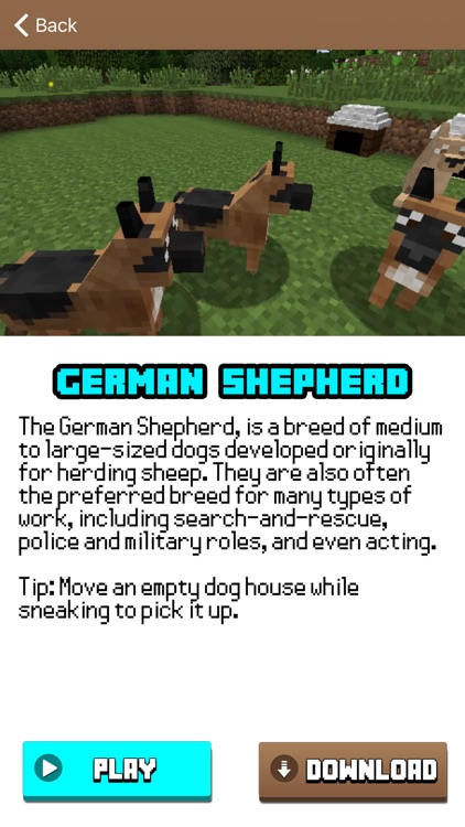 DOG Pet Mod for Minecraft Games Pocket Guide PC screenshot-3