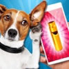 Dog Whistle - ultrasound. Train your dog with ultrasonic whistle