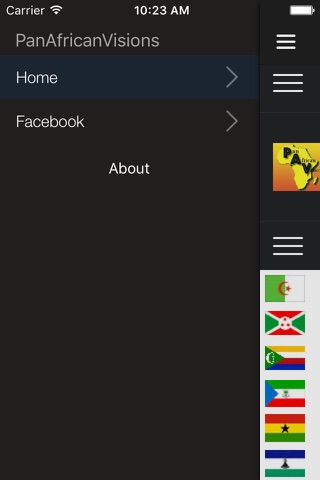 PanAfricanVision screenshot 2