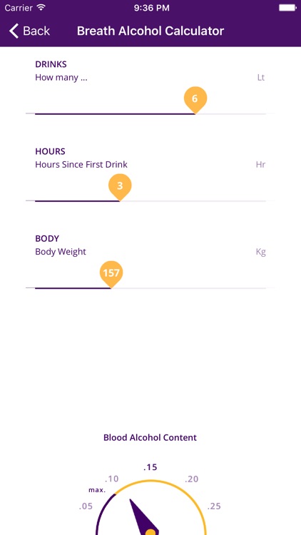 Louisiana DWI screenshot-4