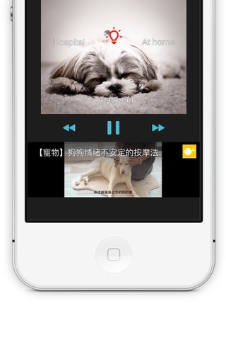 SwiCity – Dog Care Video Channel screenshot 2