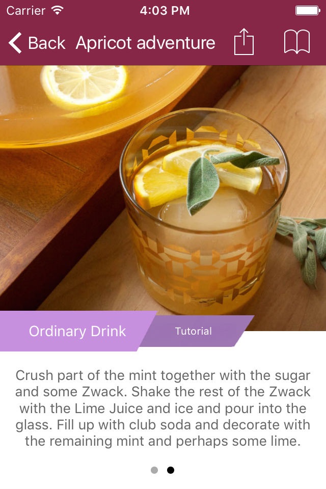 Drinks Lite screenshot 4