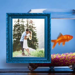 Aquarium Photo Frame - Amazing Picture Frames & Photo Editor