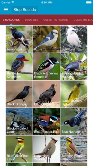 Asian Birds Sounds(圖2)-速報App