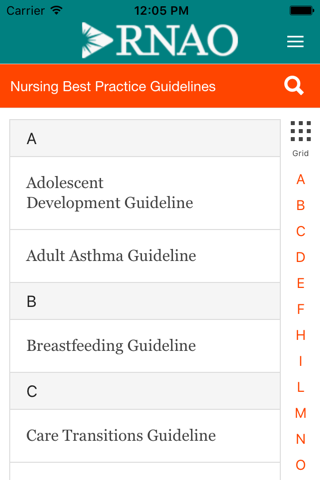RNAO Best Practice Guidelines screenshot 3
