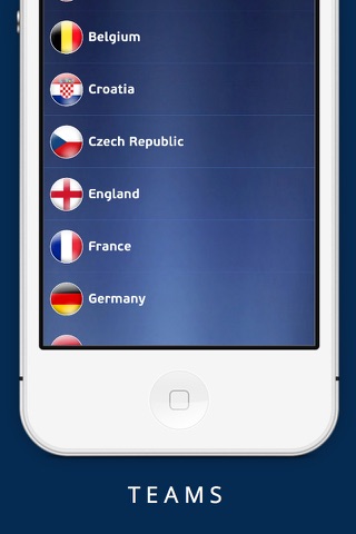 UEFA EURO - 2016 Teams, Matches, Hosts, and History screenshot 2