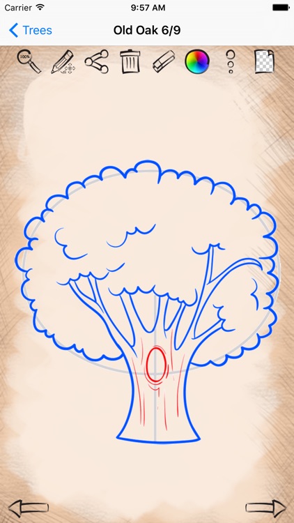 Learning to Draw Forest Trees