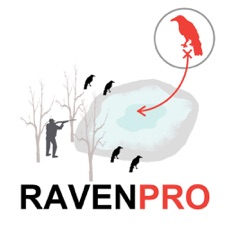 Activities of Raven Hunting Strategy - Hunting Simulator for Bird Hunting - Ad Free