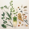 Herbal Guide:Natural Medicine Treatment