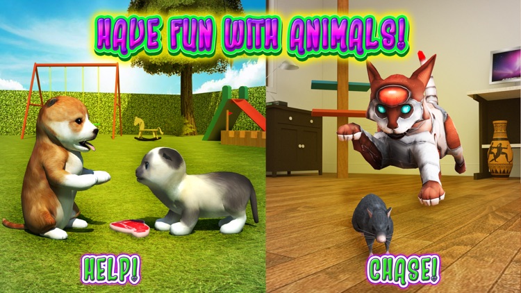 Cat Frenzy 3D