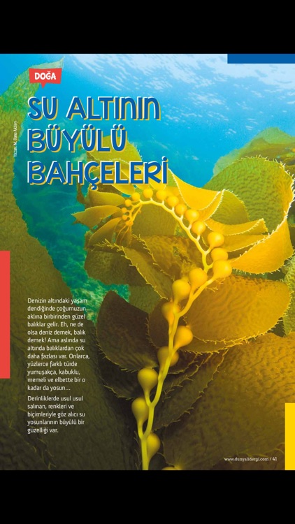 Dünyalı screenshot-4