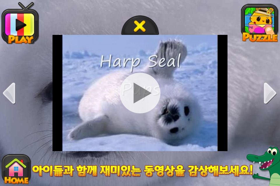 ABC SAFARI Animals & Plants - Video, Picture, Word, Puzzle Game screenshot 2