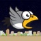 Cute Flying Birds is a highly addictive and simple touch game that will challenge you for hours