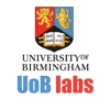 UOB Labs