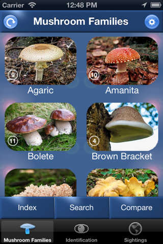 Mushroom Id Guide - UK - náhled