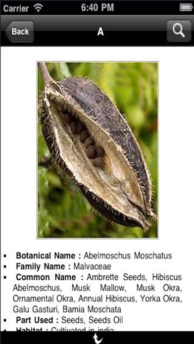 Glossary of Botanical Herbsのおすすめ画像3