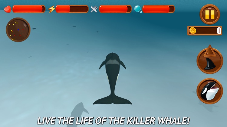 Angry Killer Whale: Orca Simulator 3D Full