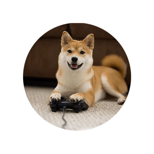 Buddy The Dog Cute Stickers icon