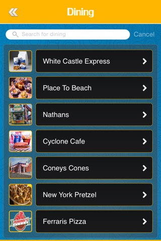 Best App for Luna Park Coney Island screenshot 4