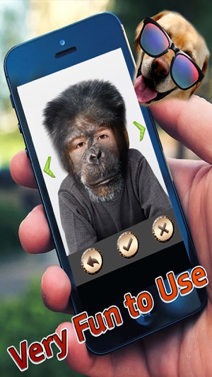 Animal Camera Face Changer