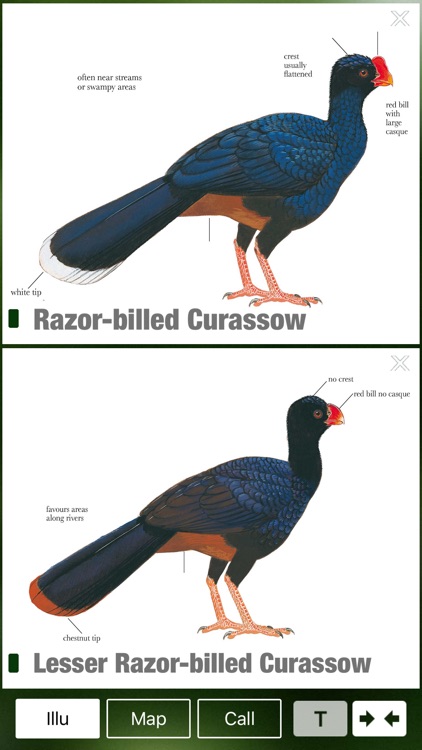 All Birds Northern South America - a field guide to all the species recorded in Ecuador, Colombia, Guiana, Peru, Venezuela screenshot-3