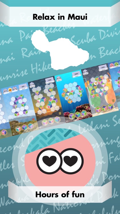 Triplicata Maui: Puzzle Game screenshot-3