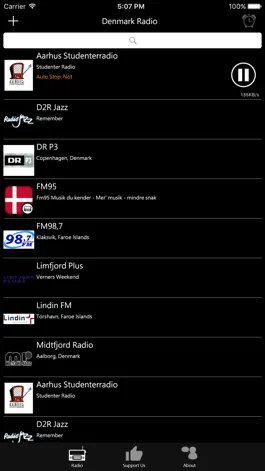 Game screenshot Danish Radio - Dansk Radio apk