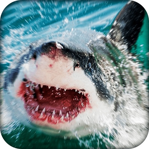 Shark Revenge 3D simulator Sharks Attacks icon