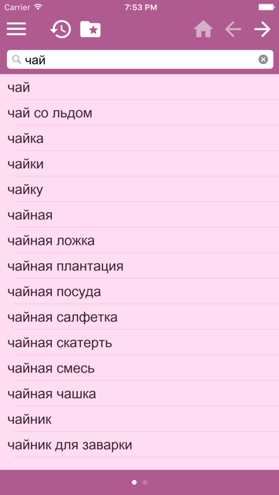 English Russian dictionary Free screenshot 3