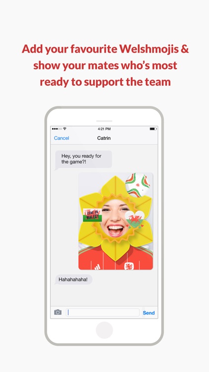 Welshmoji - Welsh emoji-stickers! screenshot-4