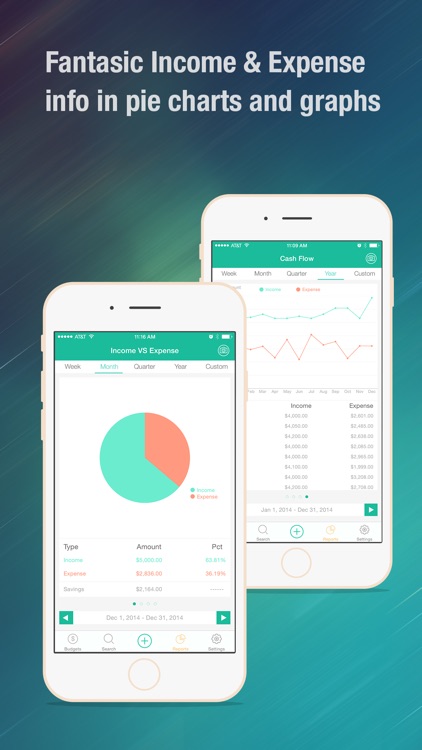 Budget Wiz Pro - Monthly Home Budget Planner & Log