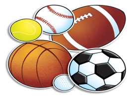 Get all of your sports balls from one place