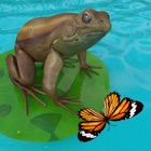 Top 20 Games Apps Like Frogs Life - Best Alternatives
