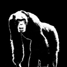 Activities of Human Devolution