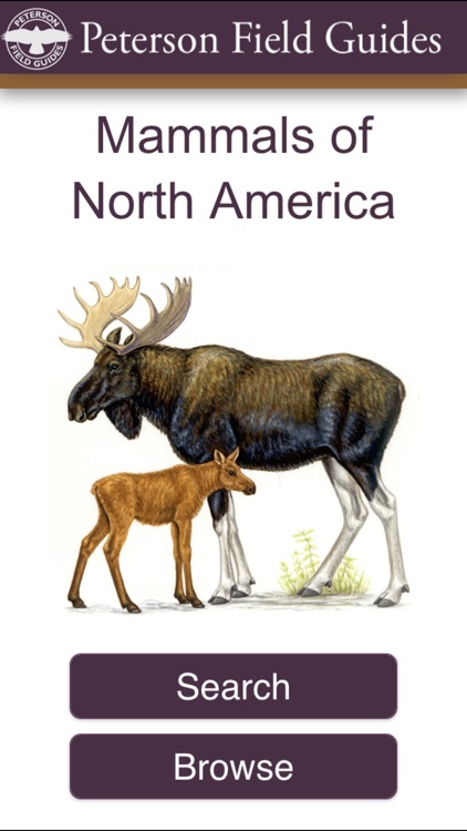 Peterson Field Guide to Mammals of North America