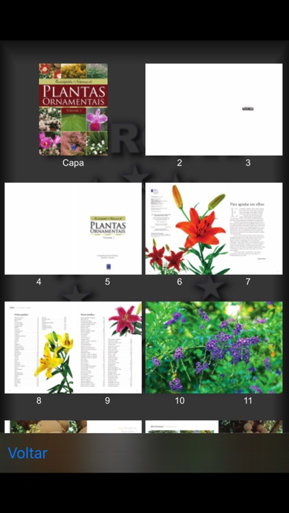 Plantas Ornamentais - Volume 1 screenshot-4