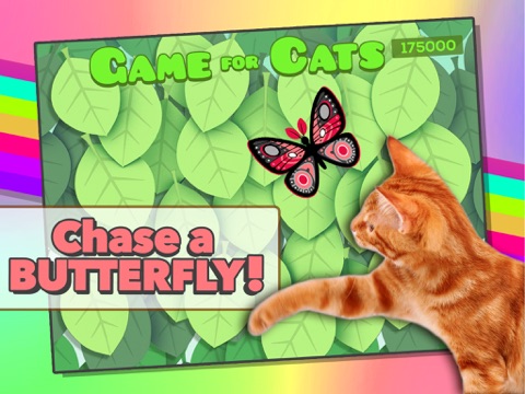 Game for Cats screenshot